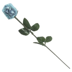 Color Splash Chocolate Rose - Light Blue