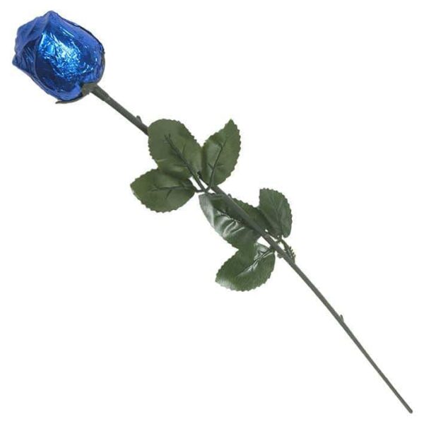 Color Splash Chocolate Rose - Dark Blue